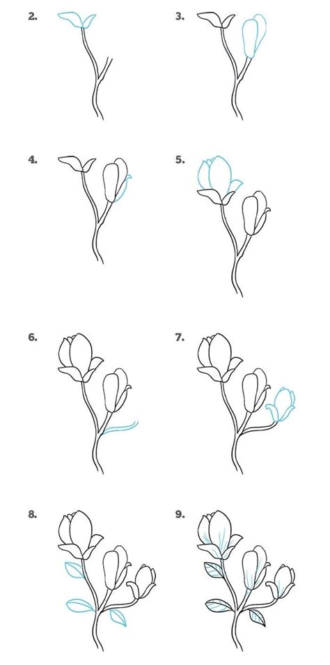 Easy Flowers To Draw Step By Step Tutorials Pictures Archziner