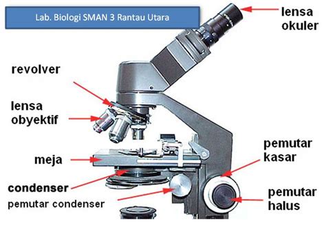 Cara Mengukur Panjang Sel Pada Pengamatan Dengan Mikroskop Cahaya
