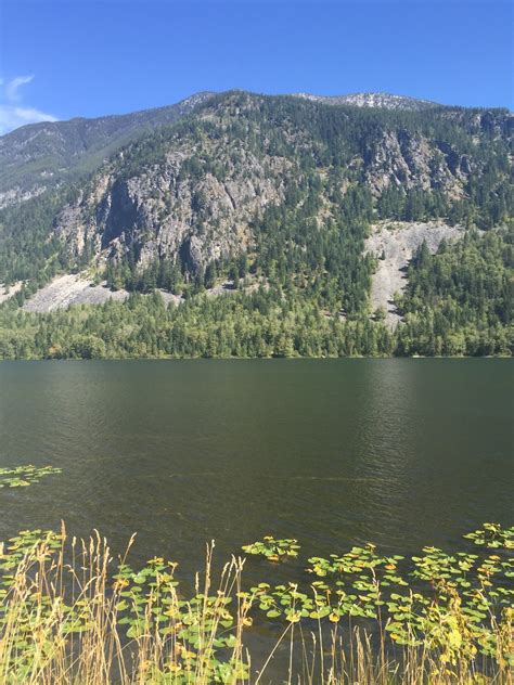 Loon Lake Turismo Qué Visitar En Loon Lake Columbia Británica 2024