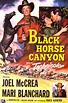 Black Horse Canyon (1954)
