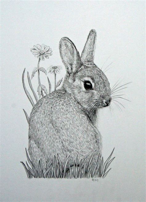 Original Mounted Pencil Drawing Of Baby Bunny Rabbit With Daisy Flower