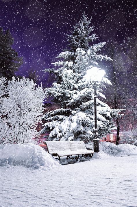 Winter Landscape Scene Of Snow Covered Bench In The Night Park Among