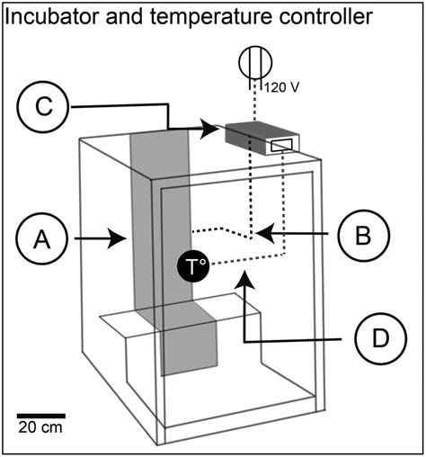 Constant Temperature Controller For The Environmental Chamber Wiring