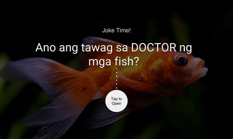 Ano Ang Tawag Sa Doctor Ng Mga Fish Pulutan Club