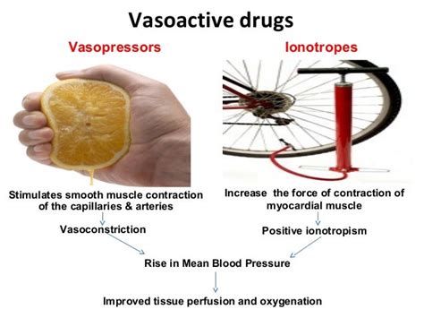 Vasoactve Drugs