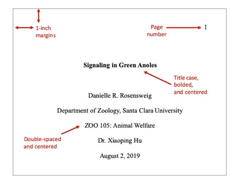 Apa Format Paper Reference Page Stickylasopa