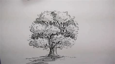 Some branches will extend to each side, some they posses a shaded side, a highlighted side and a shadow beneath. How to Sketch & Shade a Tree | Curious.com