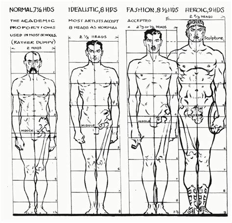 Learn how to draw man's body muscles torso anatomy for muscular guy or superhero body type. character-male-anatomy5