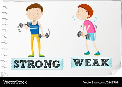 Opposite Adjectives With Strong And Weak Vector Image