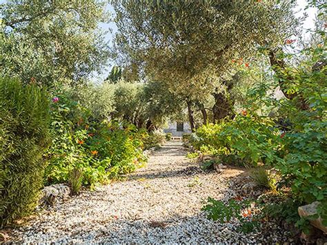 Scripture Comes Alive At The Garden Of Gethsemane