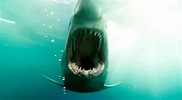 Shark Night 3D Trailer - FilmoFilia