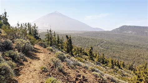 Calima In The Canary Islands What Is It And How Does It Affect You