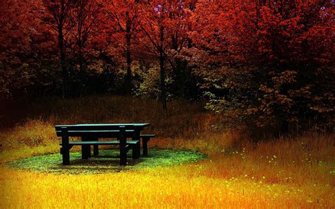 Wallpaper 1920x1200 Px Bench Colorful Fall Landscape Nature