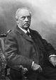 Hermann Von Helmholtz N(1821-1894) German Physicist Anatomist And ...