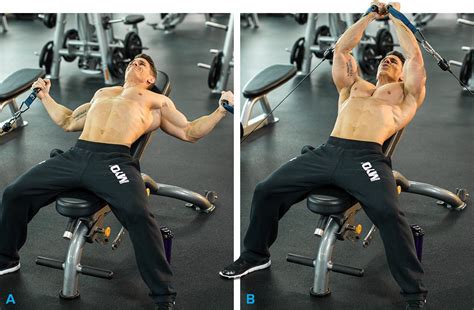5 Day Chest Workout Gym Exercises For Gym Fitness And Workout Abs