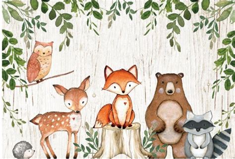 Forest Animals Backdrop Party Photography Party Banner 7ft X 5ft
