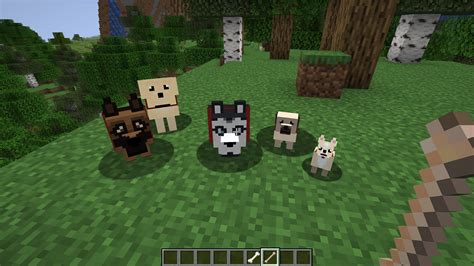 More Dogs 1152 Minecraft Mods