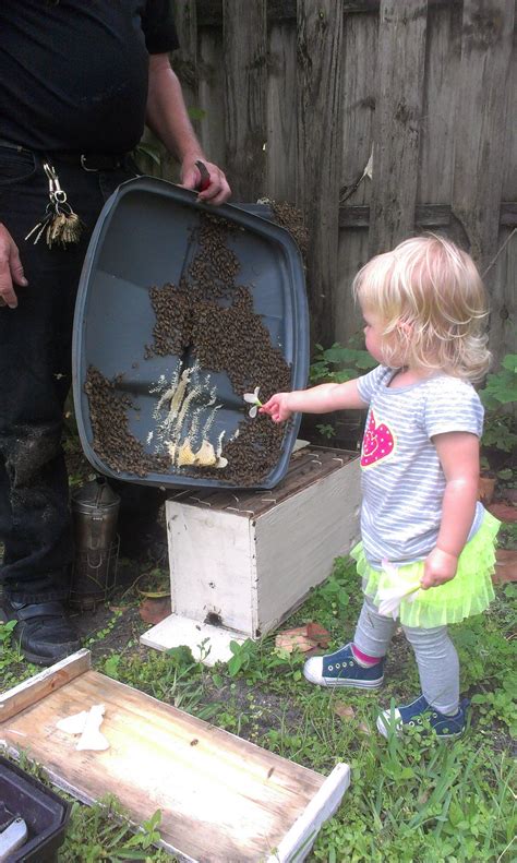 Even Kaity Knows Bees Need Flowers My 20 Month Old Daughter Beekeeping