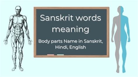Body Parts Name In Sanskrit And Hindi