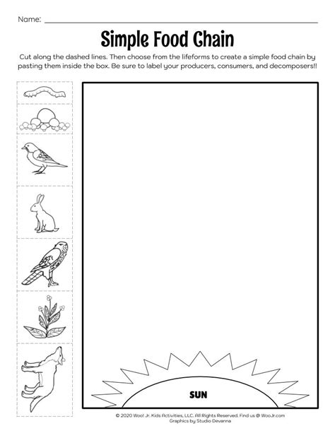 Food Chain Photosynthesis Lesson Worksheet Woo Jr Kids Activities
