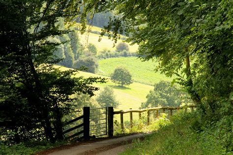 Country Lane Scenery Beautiful Nature Beautiful Landscapes