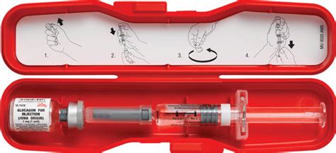 The argument here is that glycogen stores are used up in order to maintain blood glucose for the first few hours of carb restriction (whether carb restriction involves fasting or simply having. Expanding Glucagon Access and Use in the Prehospital ...