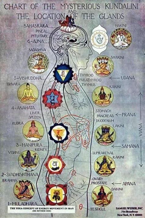 Beautifully Illustrated Kundalini Chart Chakra Meanings Kundalini