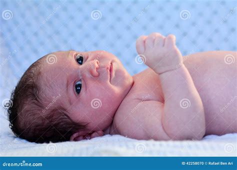 Newborn Baby Portrait Stock Photo Image Of Infant 42258070
