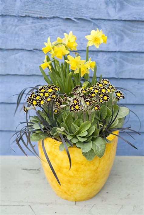 72 Best Ideas For Planting Bulbs In The Garden