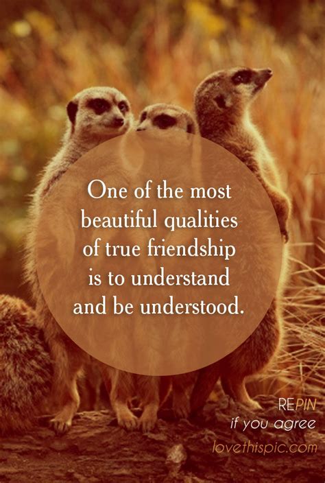Friendship is a relationship of mutual affection between people. True Friendship Pictures, Photos, and Images for Facebook ...