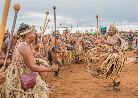 Discover Ncwala Ceremony In 2024 Ceremony Zambia Kwazulu Natal