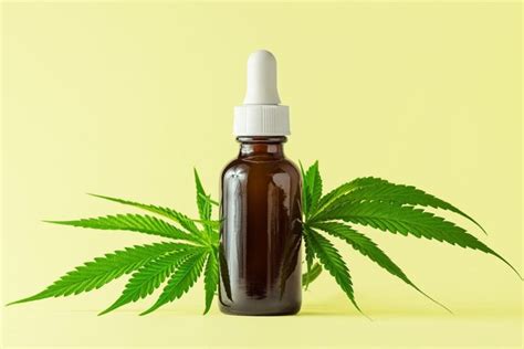 What Experts Want You To Know About Hemp Oil Best Health