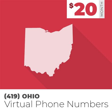419 Area Code Phone Numbers For Business 20month