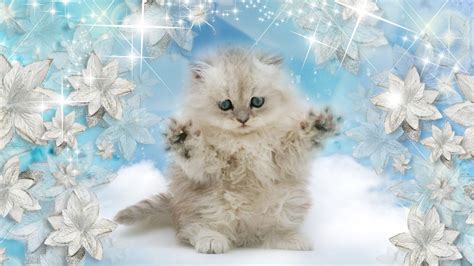 Winter Snow Nature Landscape Baby Cat Kitten Wallpaper