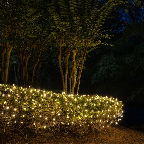 Outdoor Lighting For Trees And Shrubs Outdoor Lighting Ideas
