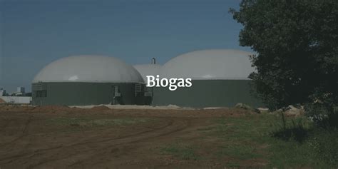 biogas financial model template efinancialmodels