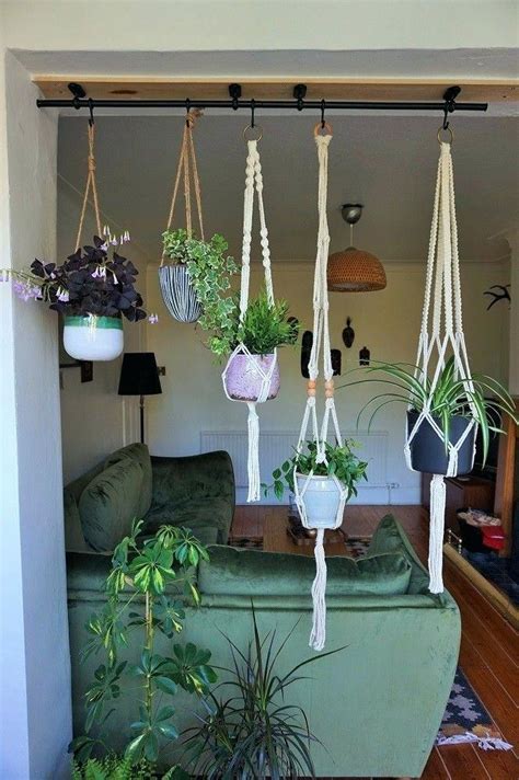 11 Brilliant Diy Indoor Vertical Garden Ideas Ferns N Petals
