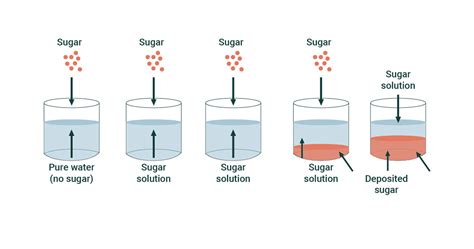 Solubility Solid In A Liquid Gas In A Liquid And Liquid In A Liquid