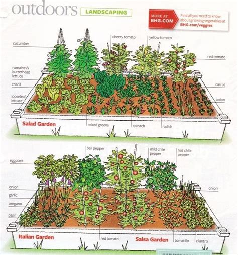 ( via almanac ) we also have a free printable gardening calendar you can download here, which will help you plan which vegetables to plant each month in your climate zone. Some ideas for your veggie patch at home | Garden layout ...