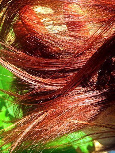 Rajasthani Henna Hair Color Natural Organic Indian Pure No Chemicals