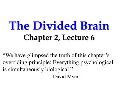 Ppt The Divided Brain Chapter 2 Lecture 6 Powerpoint Presentation