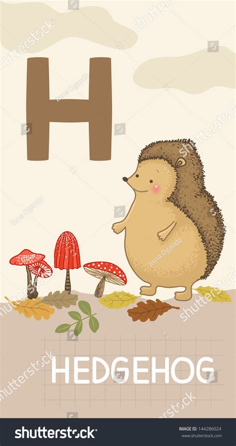Animals Abc Letter H Hedgehog Mushrooms Stock Vector Royalty Free