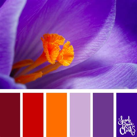 25 Color Palettes Inspired By The Pantone Fall Winter 2018 Color Trends