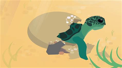 Save The Turtle Animated Short Youtube
