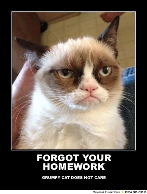 322 Best Images About Grumpy Cat On Pinterest Grumpy Cat