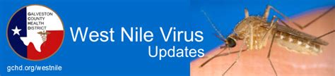 West Nile Virus Galveston County Health District