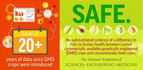 Friday Feature Defining Gmos In Food Panhandle Agriculture