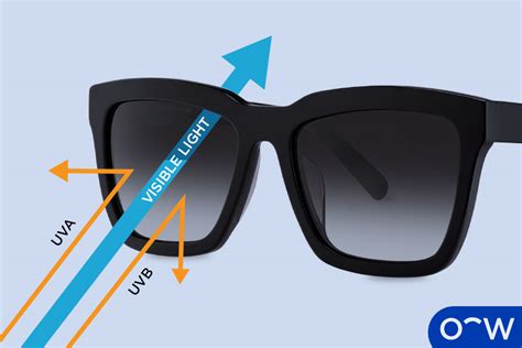 Sunglasses What Is It How It Works Importance And How To Choose