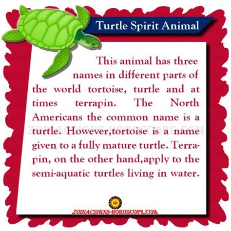 Turtle Spirit Animal Meaning Symbolism Dreams Of The Turtle Totem