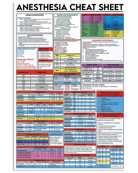 Cheat Sheet Veterinary Anesthesia Drug Chart